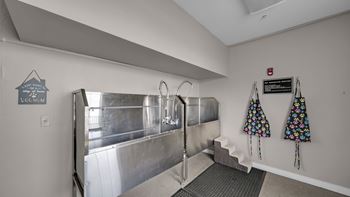 Pet washing station